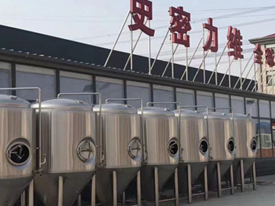依安精酿啤酒设备厂—如何判断精酿啤酒设备的密封件需要更换？